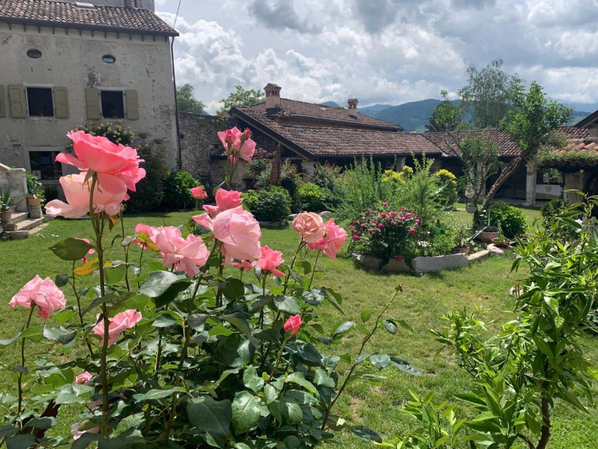 Villa Francescon Belluno Exterior foto